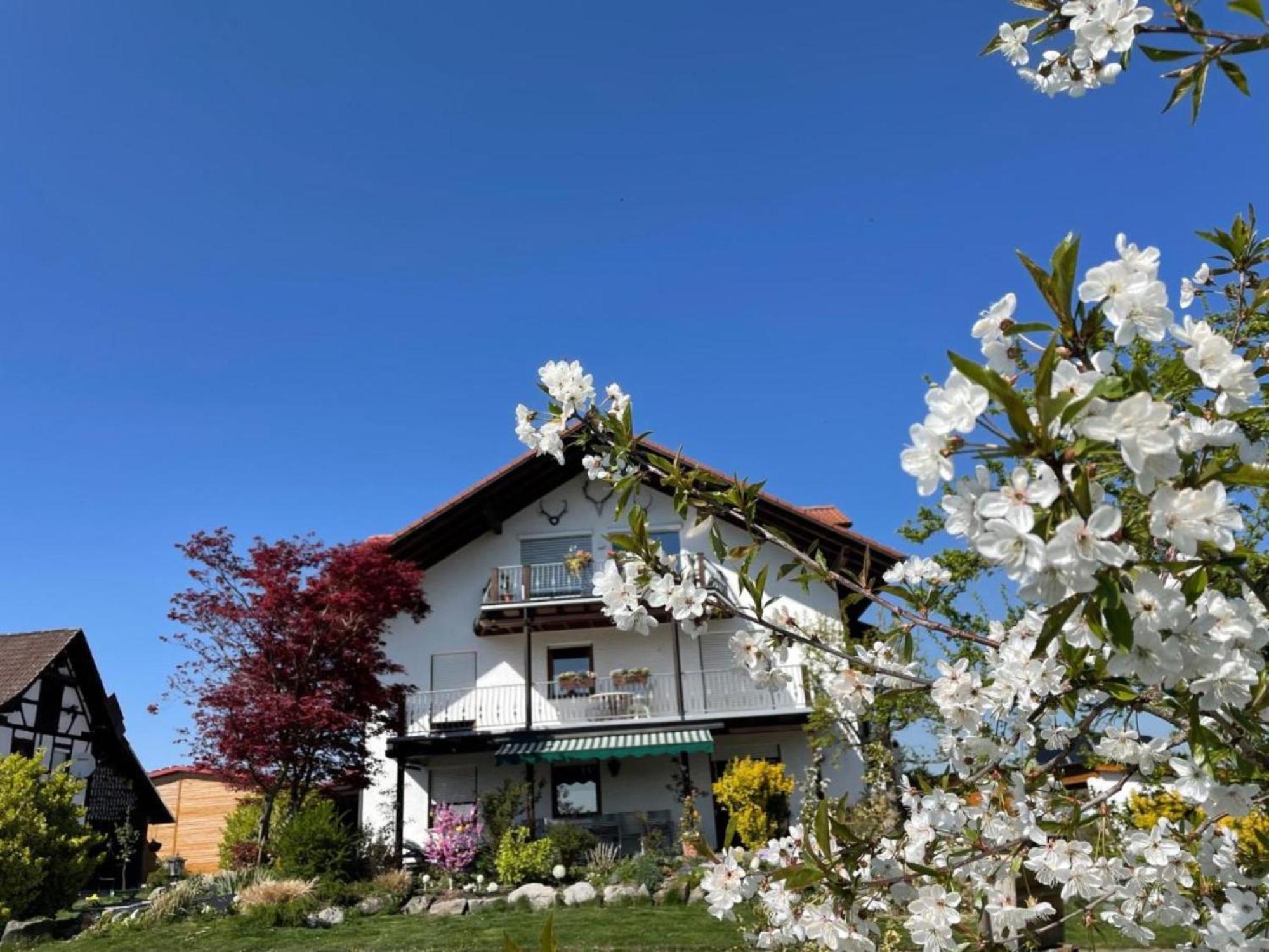 Bergchalet Mirabell - Hofgut FDH Exteriér fotografie
