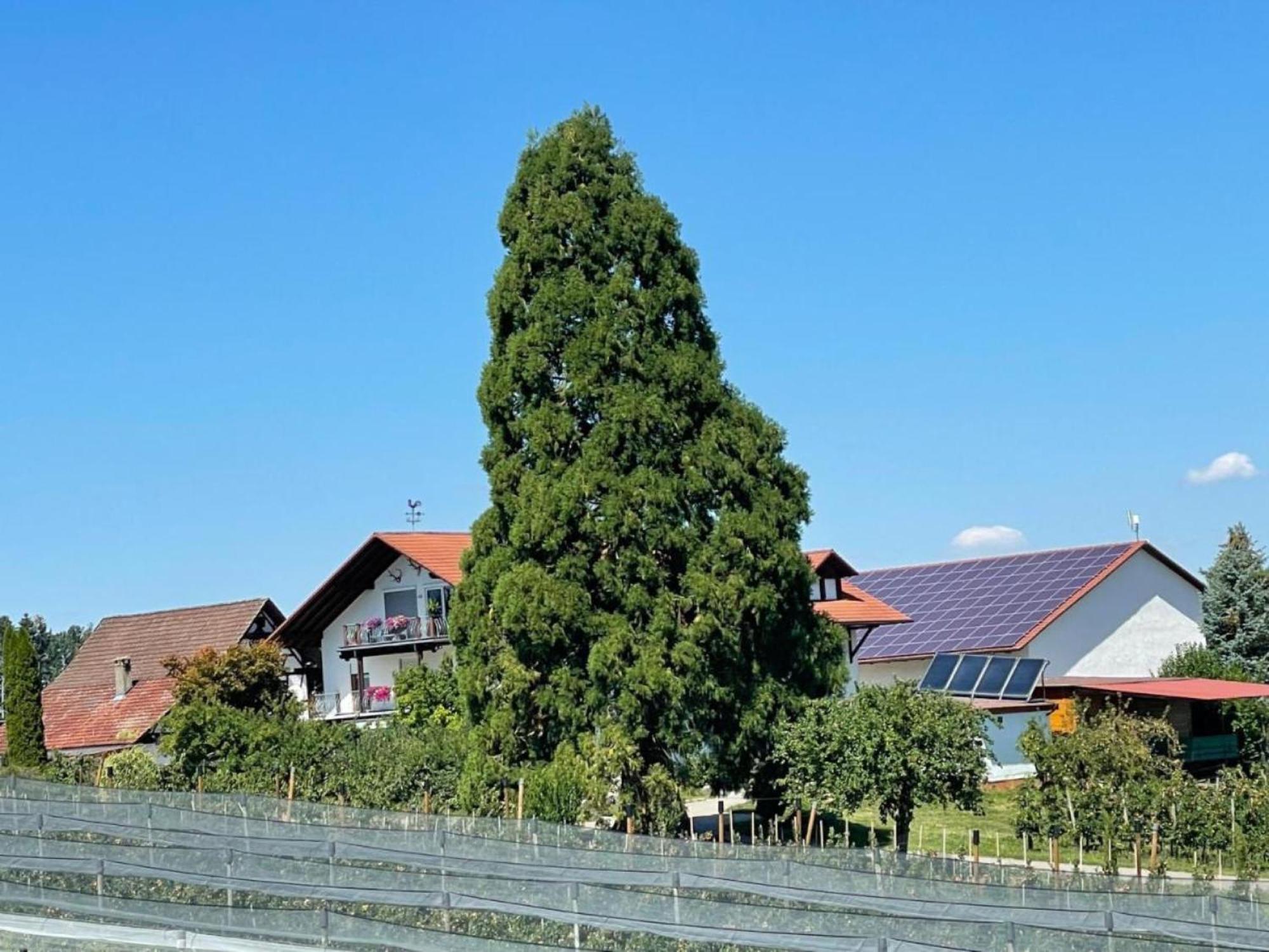 Bergchalet Mirabell - Hofgut FDH Exteriér fotografie