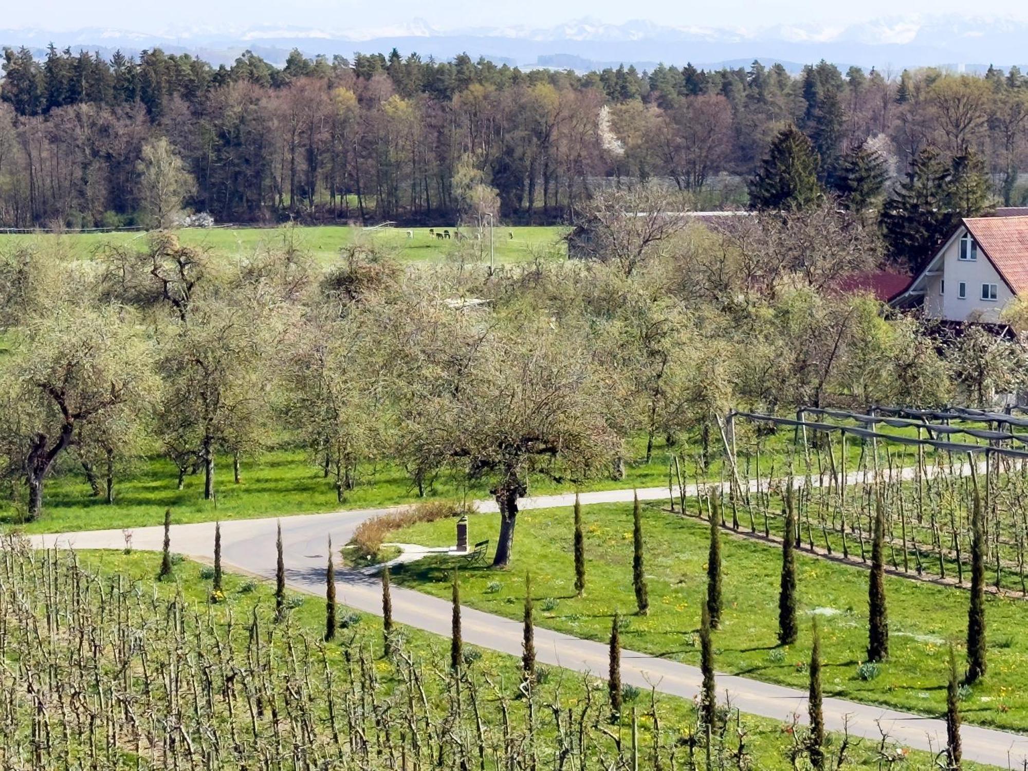 Bergchalet Mirabell - Hofgut FDH Exteriér fotografie