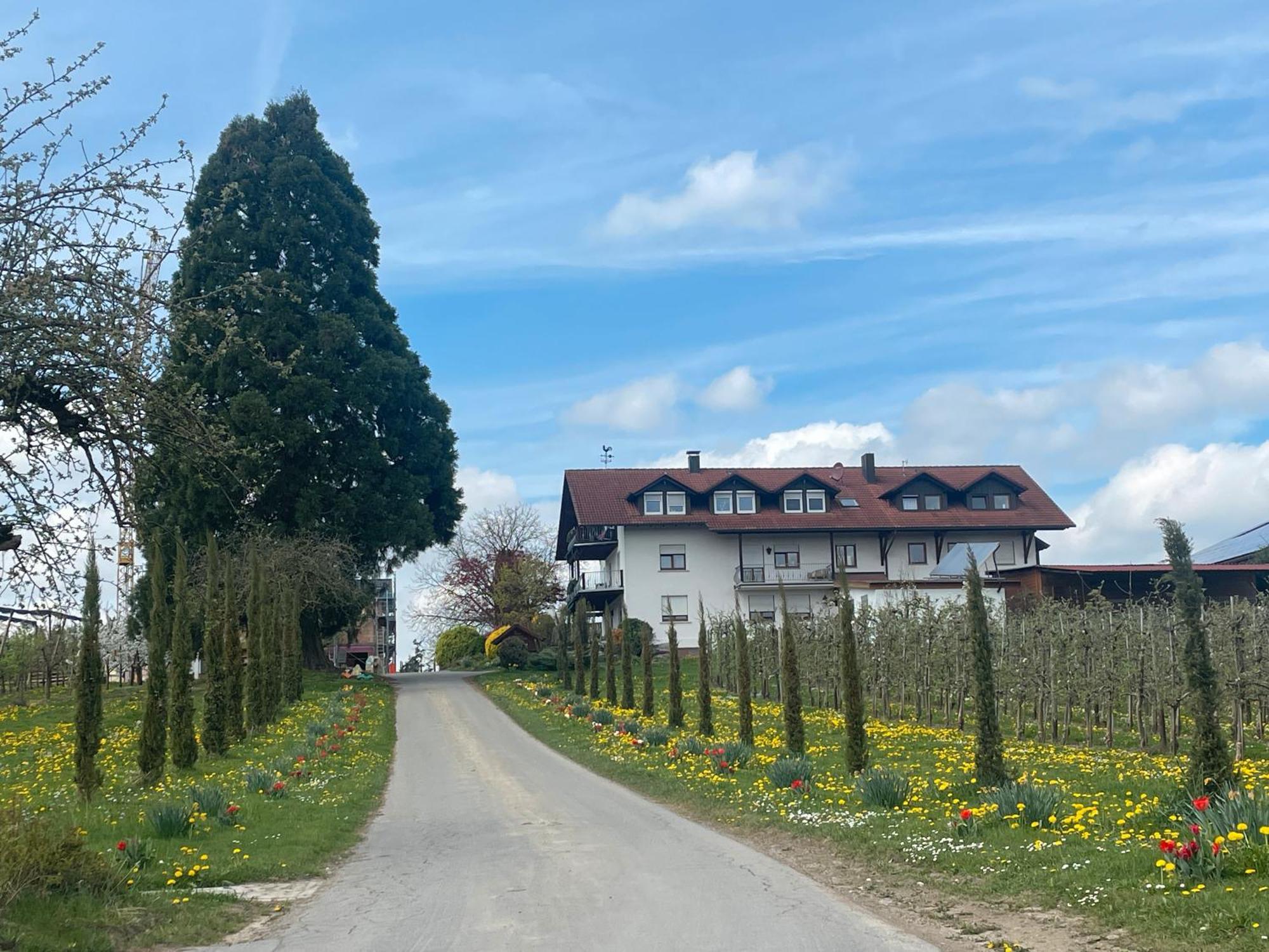Bergchalet Mirabell - Hofgut FDH Exteriér fotografie